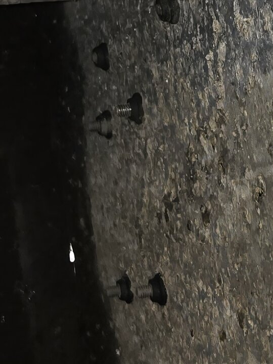 1000009486.jpg