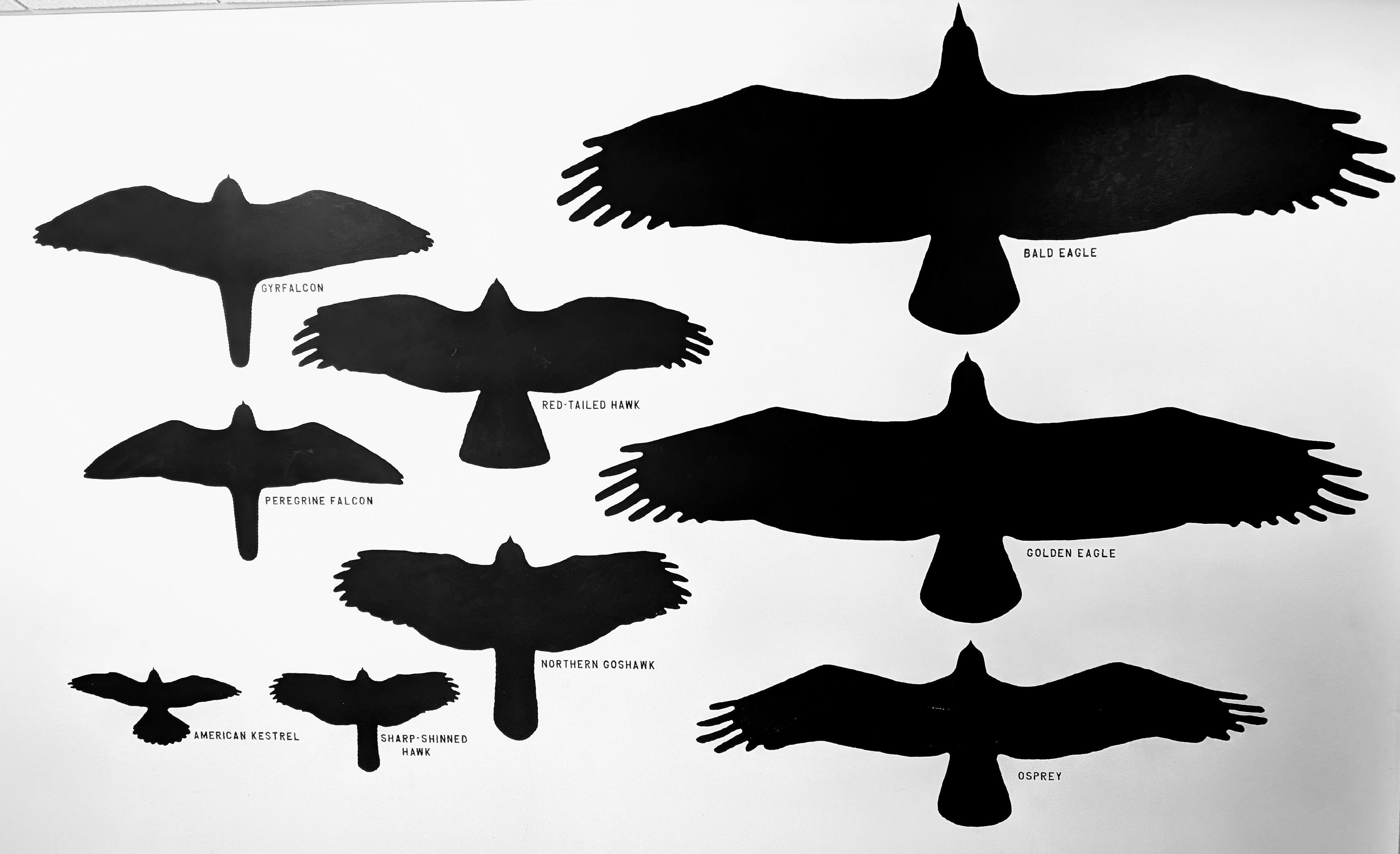 PXL_20250519_175924625~2.jpg